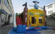 Inflatable Bouncy Castle