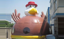 Bird Inflatable Bouncer