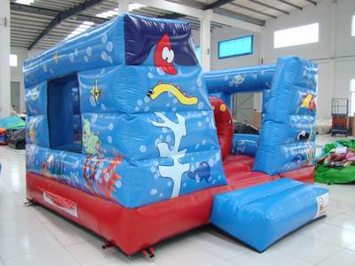 Inflatable Bouncer
