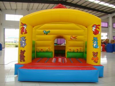 Inflatable Bouncer