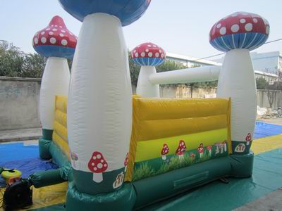Inflatable Bouncer
