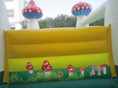 Inflatable Bouncer