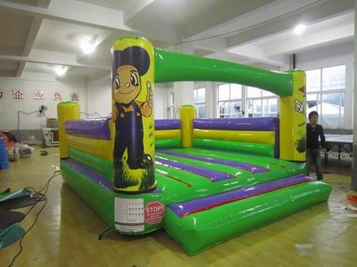 Inflatable Bouncer
