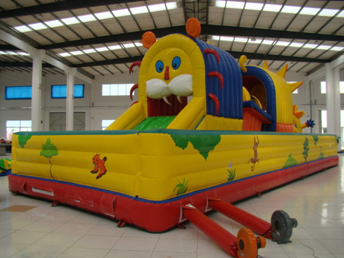 Inflatable amusement park