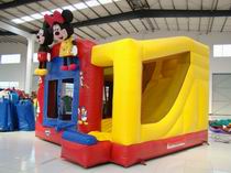 Inflatable Combo