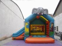 Inflatable Combo