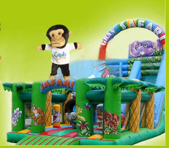 inflatable slide