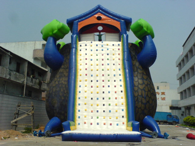 inflatable slide
