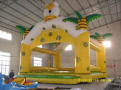 Inflatable Bouncer