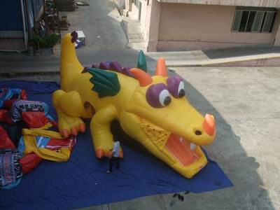 Inflatable Tunnel