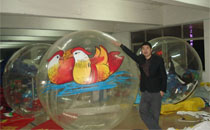 water walking ball