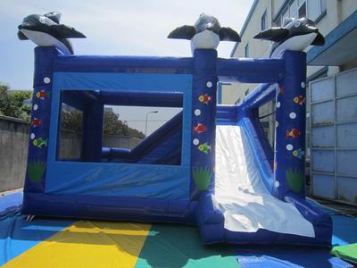 outdoor inflatable bouncer