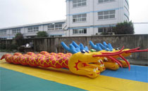 inflatable sport