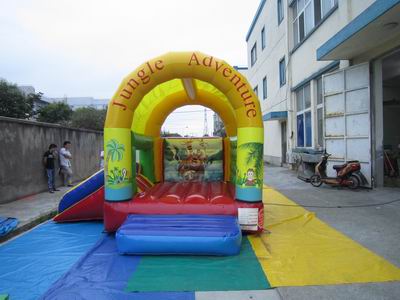 inflatable bouncer