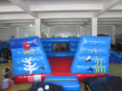 inflatable bouncer